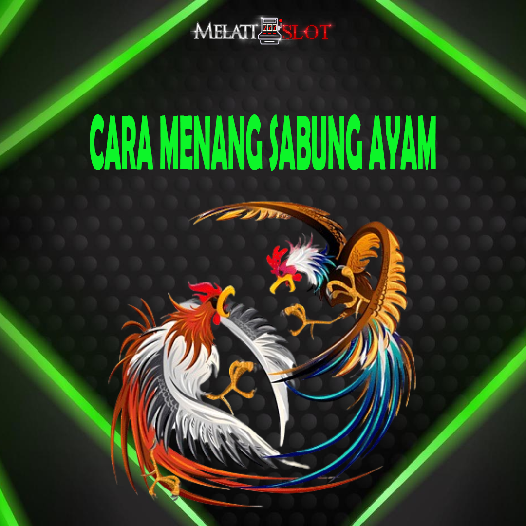 MELATISLOT: Cara Menang Sabung Ayam